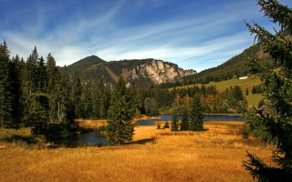 金星说谢娜主持很尬是什么节目 谢娜主持两个极端怎么回事