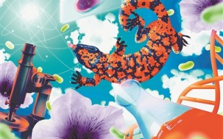 源自一勺温泉水、一根胡萝卜、一朵变白的花…… 七项基础研究悄然改变世界