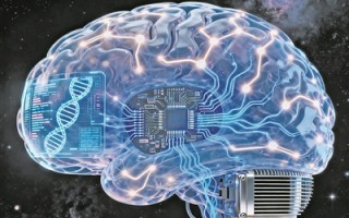 最新研究表明：大脑是台特殊的“生物计算机”