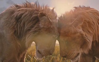 圣诞节北美票房出炉！《狮子王：木法沙传奇》夺冠《诺斯费拉图》口碑爆棚