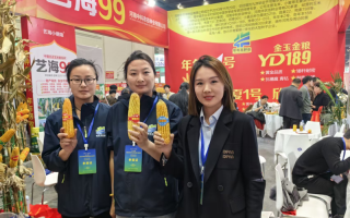 种业振兴添力 年年丰亮相秋展