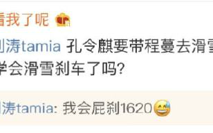 刘涛被问学会滑雪刹车了吗 搞笑回应：我会屁刹1620