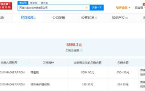 吴亦凡表哥的公司天津凡世传媒拖欠5890元税款