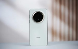 波兰前副总理怒斥美国：过去我用华为手机 现在却买不到了