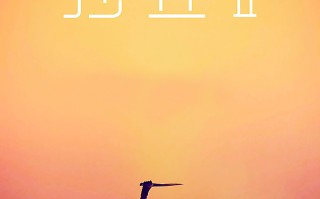 《沙丘2》你看懂了吗