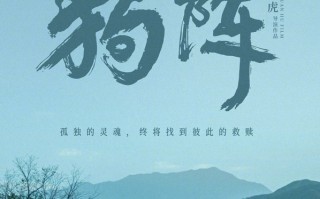 6月13日票房2945万《狗阵》《排球少年!!垃圾场决战》《神秘友友》周六上映