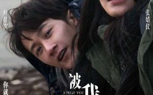 新片上映预告