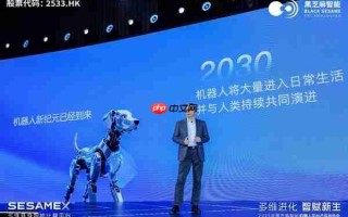黑芝麻智能发布SesameX平台：以多维智能破局，开启机器人"全脑智能"新纪元