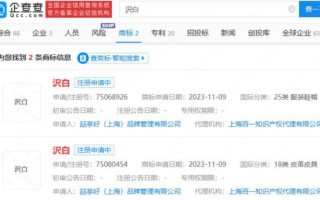 白敬亭公司新增“沢白”商标 涉及服装鞋帽皮革皮具