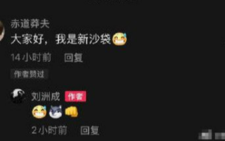 刘洲成官宣新恋情 女方神回复：我是新沙袋