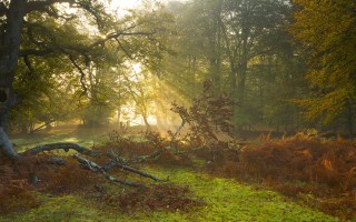 金星公开吐槽谢娜主持尴尬 杨迪吓到翻滚