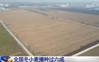 “良机+良技+良种”助力秋冬种按下“加速键” 端稳端牢“中国饭碗”