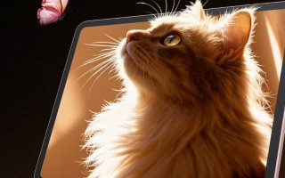12月25日发布 OPPO官宣OPPO Pad Air5将配备12.1 寸 2.8K 超清柔光屏
