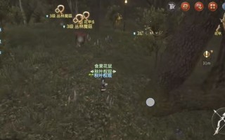 蓄力才是灵魂？弹道预判武僧深度玩法揭秘