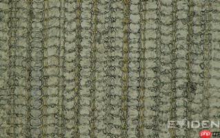 苹果又一突破：iPhone Air USB-C接口采用3D打印技术