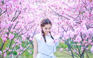 前8月四大主体税种实现正增长 证券交易印花税同比大增81.7%