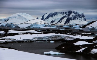 加林德斯岛，南极半岛地区自然课题丰富之地 精选